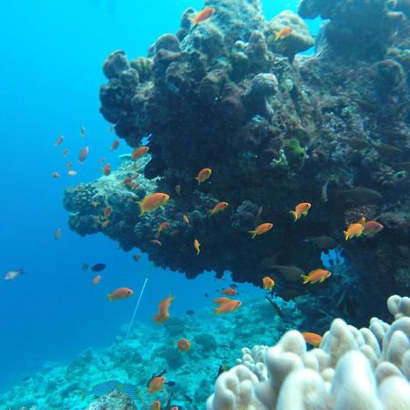 فندق راسدهو كورالفيل Rasdhoo المظهر الخارجي الصورة