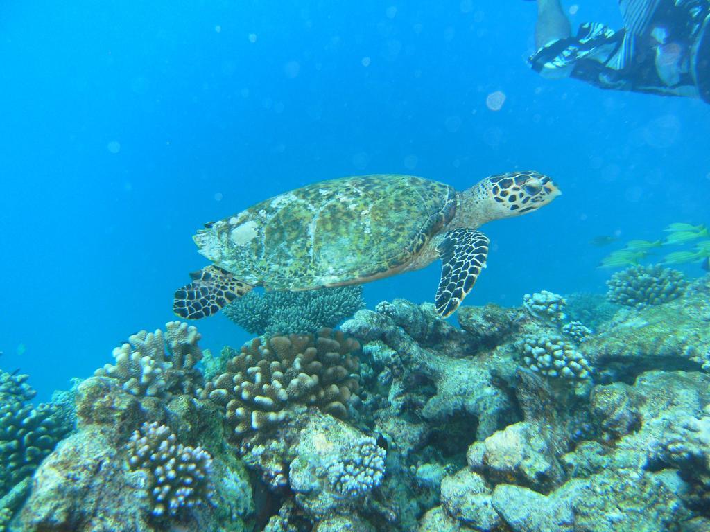 فندق راسدهو كورالفيل Rasdhoo المظهر الخارجي الصورة