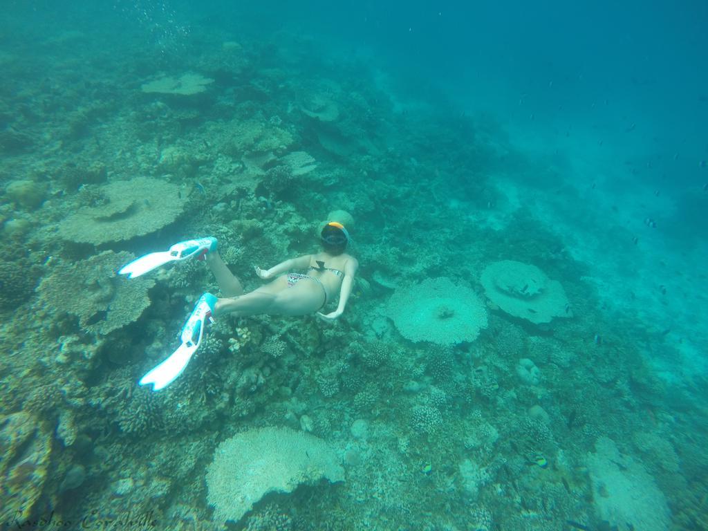 فندق راسدهو كورالفيل Rasdhoo المظهر الخارجي الصورة