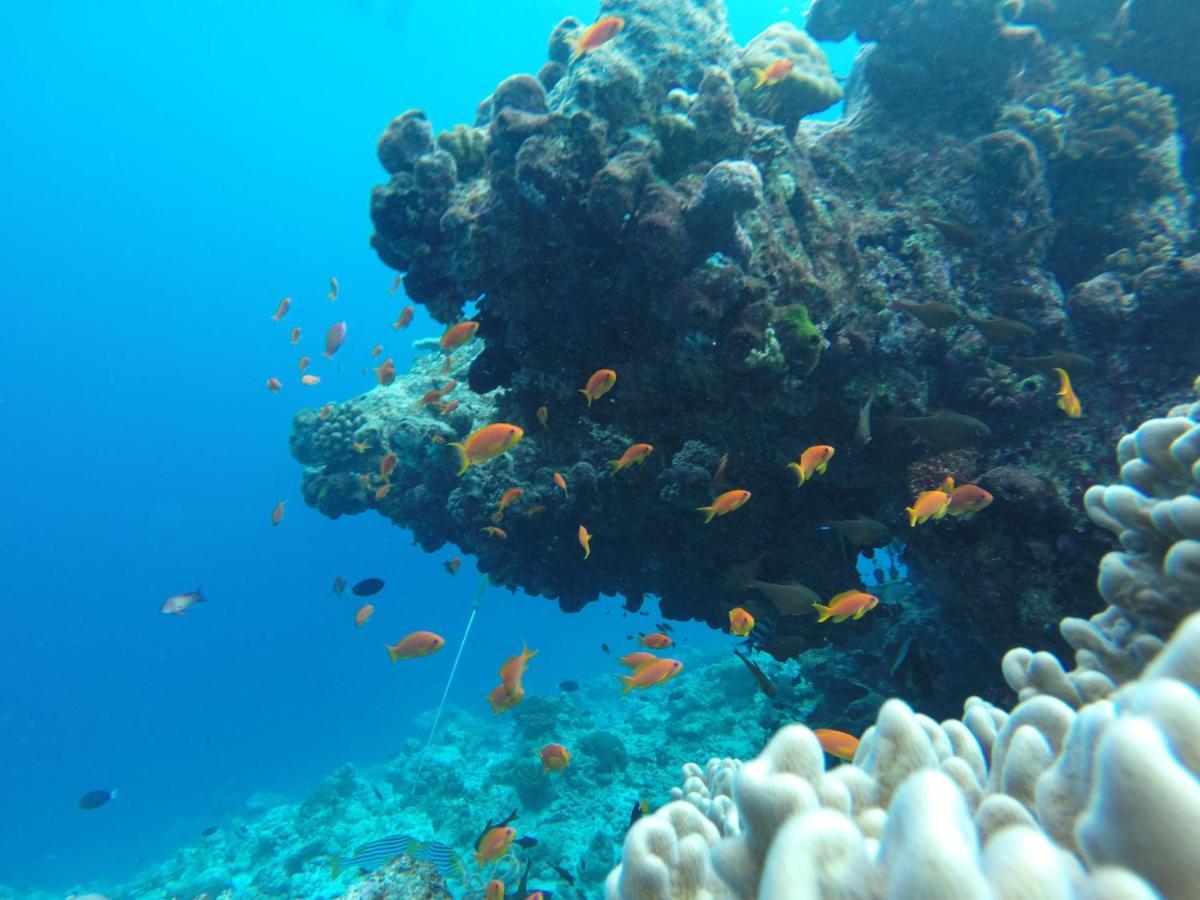 فندق راسدهو كورالفيل Rasdhoo المظهر الخارجي الصورة